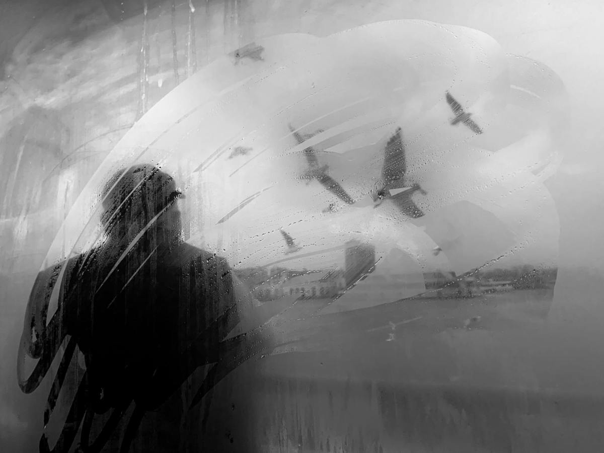 Claridad no es&nbsp;comprensión